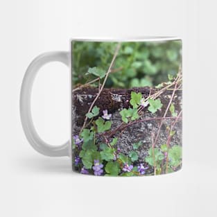 Spring Flowers on a Wall Mug